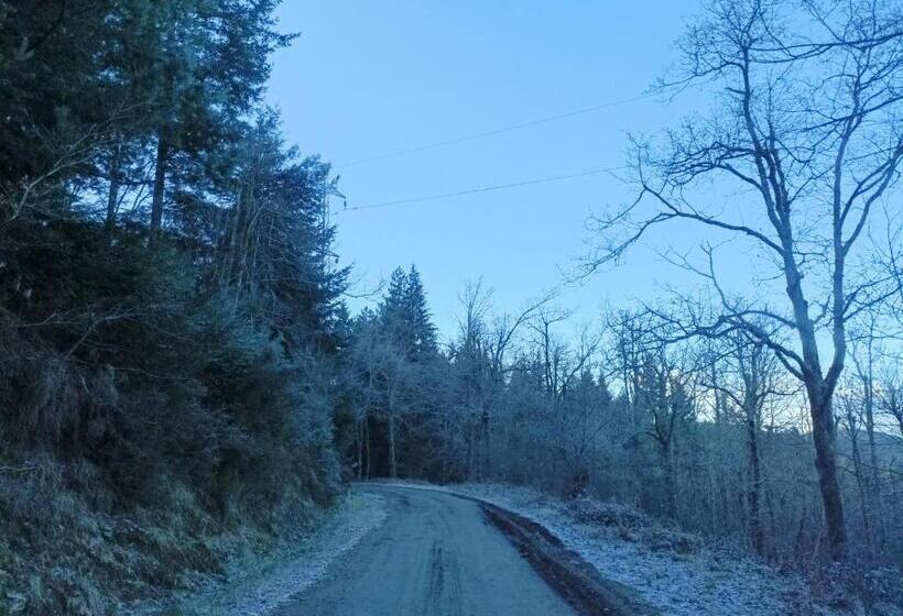 پانسیون Gite Cantinho Davo