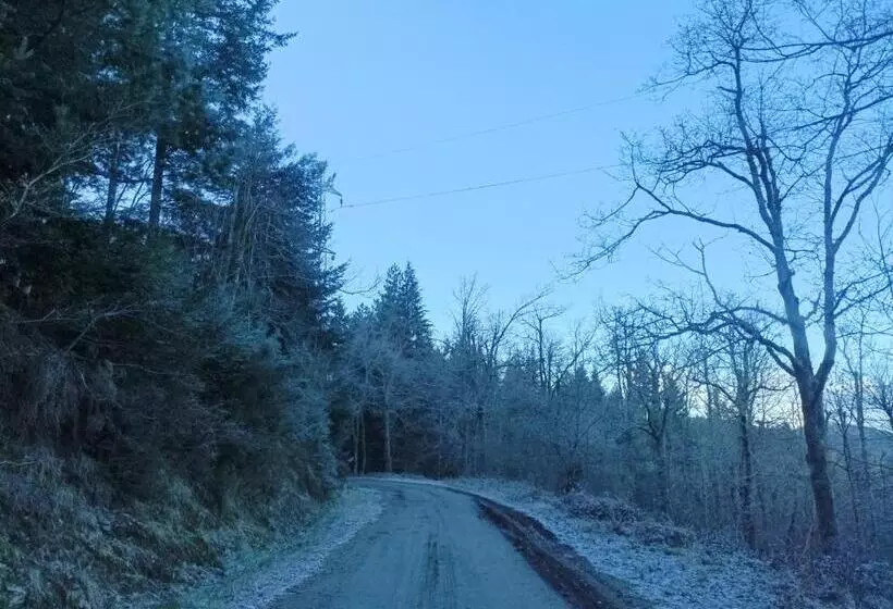 ペンション Gite Cantinho Davo