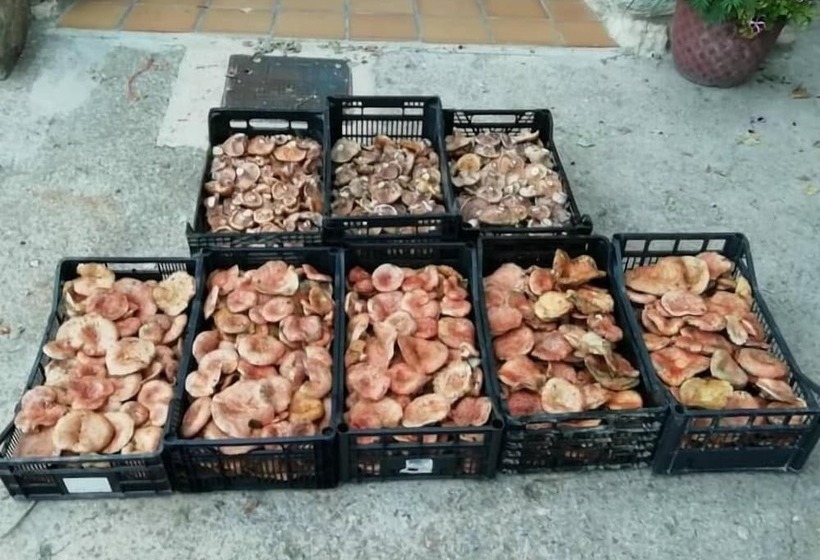 بنسيون Hostal Paquita