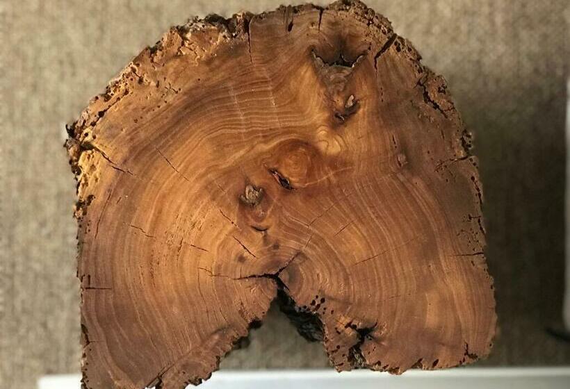 ペンション Zn Lodge