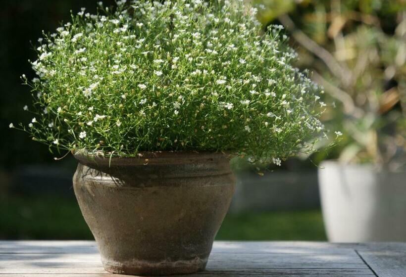 Bed and Breakfast Veluwe 4all