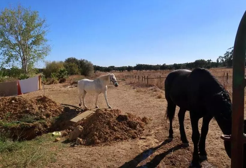 ペンション Monte Do Paco