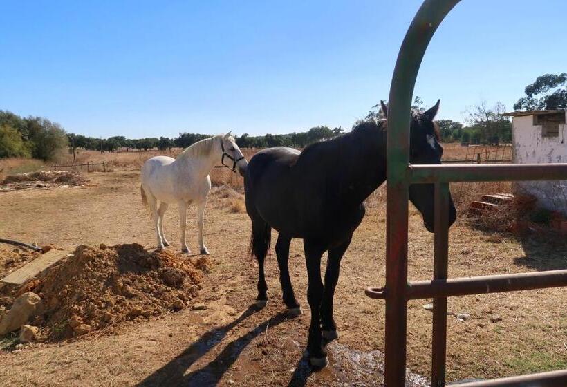 Пансион Monte Do Paco