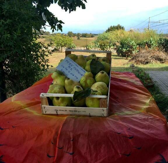 Nocleg ze śniadaniem Antic Etrurian Inn