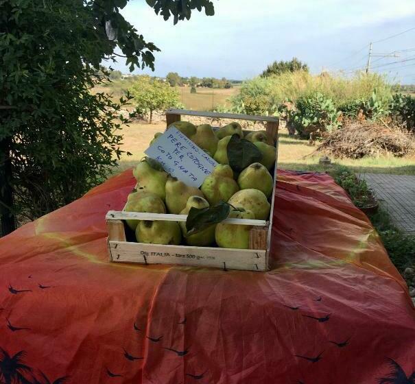 Nocleg ze śniadaniem Antic Etrurian Inn