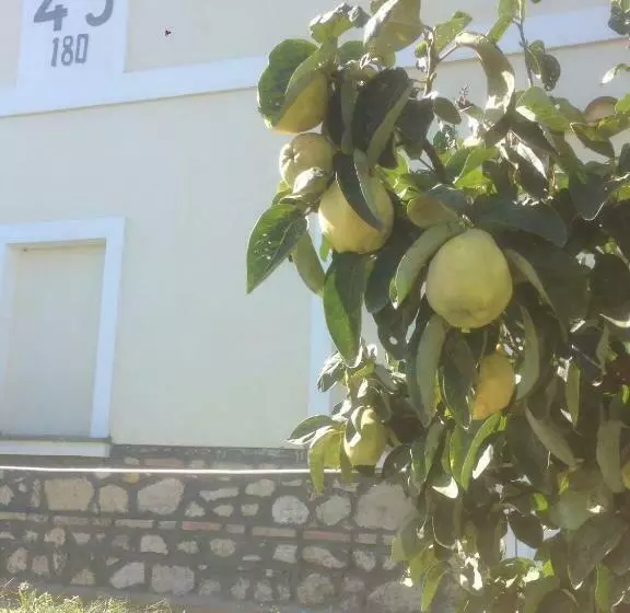 تختخواب و صبحانه Antic Etrurian Inn