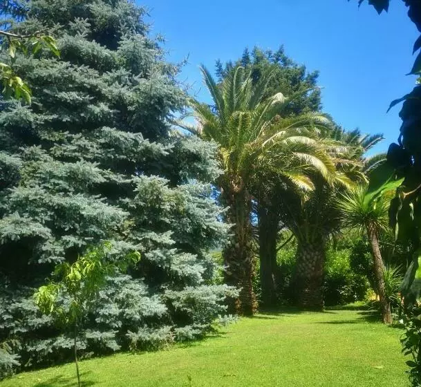 ベッドアンドブレックファースト Villa Luisa