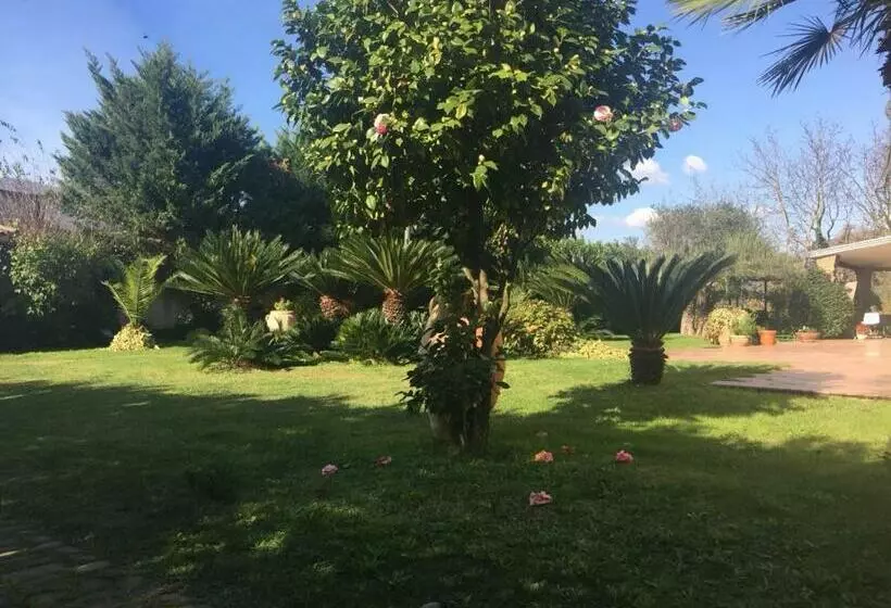 ベッドアンドブレックファースト Villa Luisa