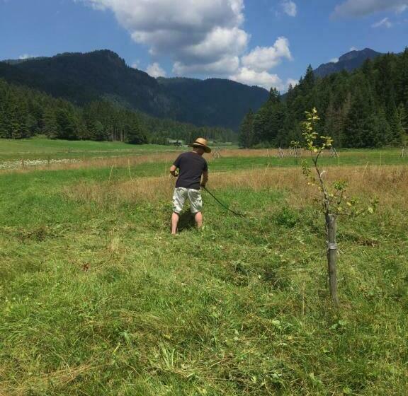 بنسيون Gatterl Zum See