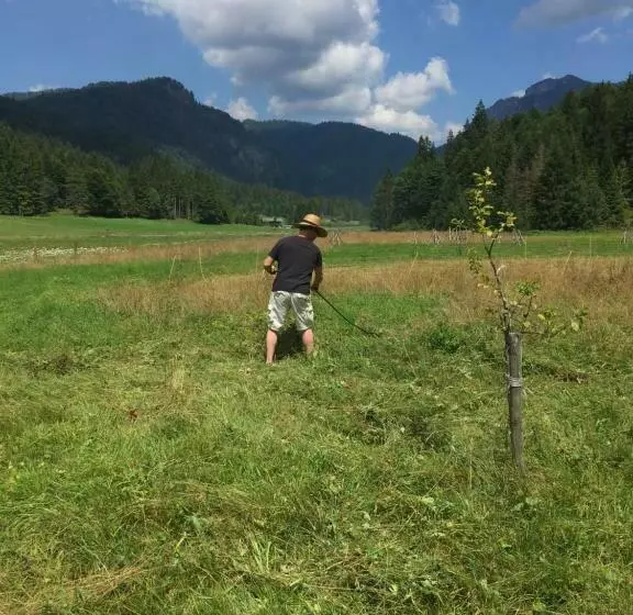 ペンション Gatterl Zum See