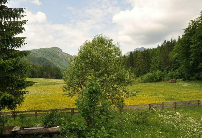 بنسيون Gatterl Zum See