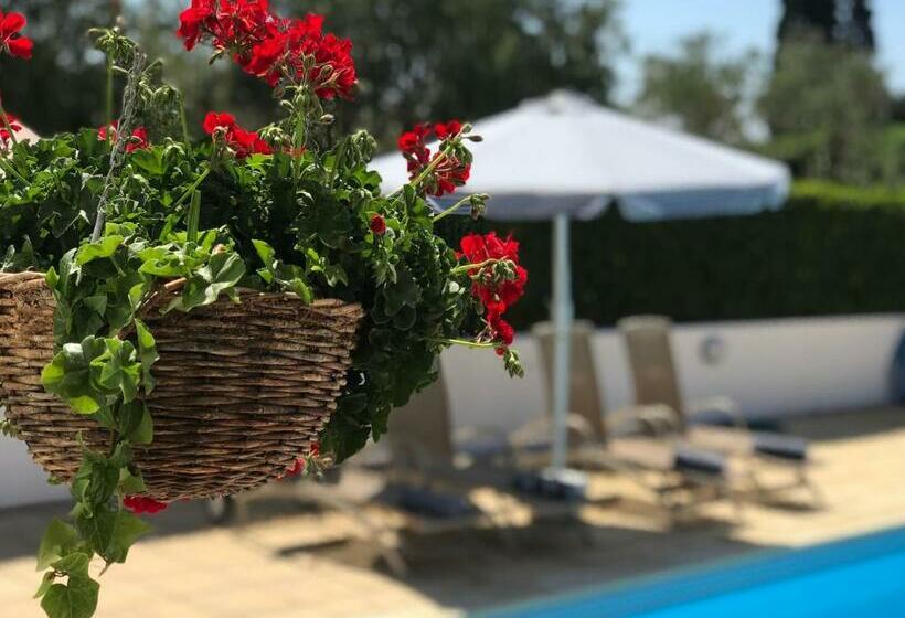 Villa Elia Bed And Breakfast