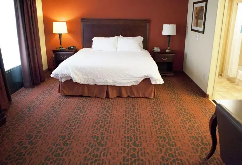 Hampton Inn Rochesterwebster