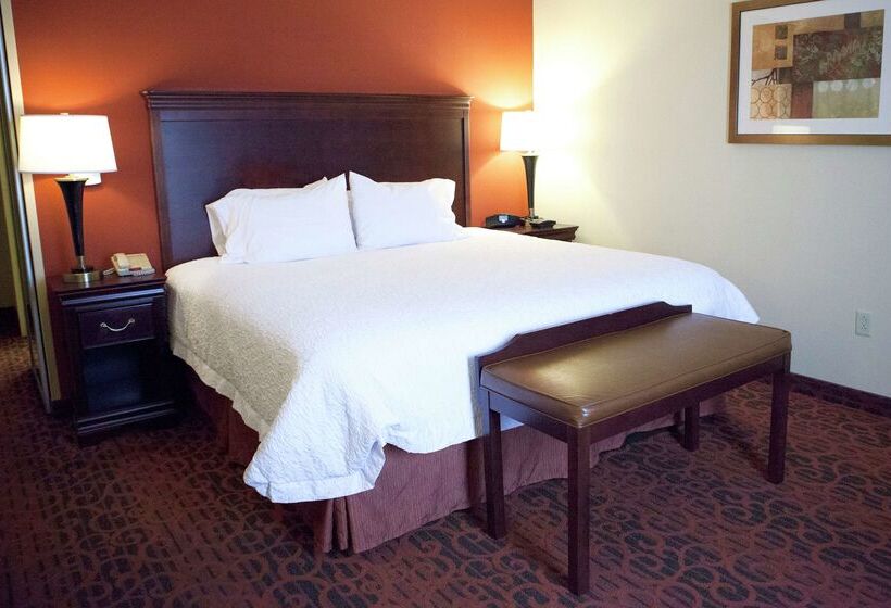 Hampton Inn Rochesterwebster