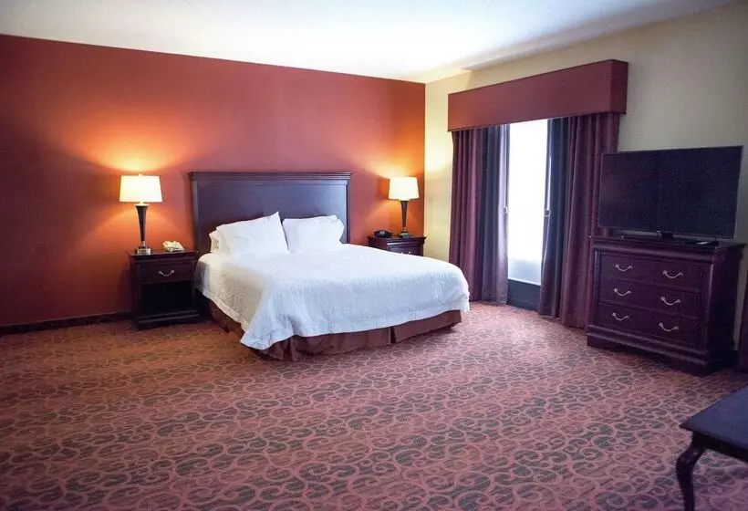 Hampton Inn Rochesterwebster