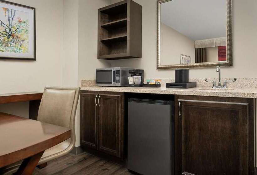 ホテル Embassy Suites By Hilton Birmingham Hoover