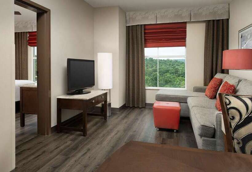 ホテル Embassy Suites By Hilton Birmingham Hoover