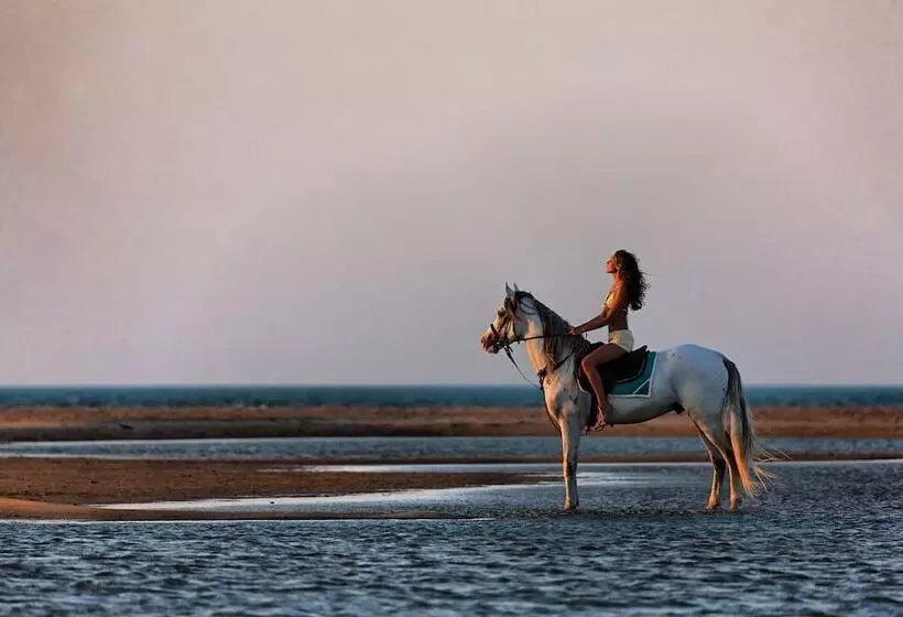 Fanadir Hotel El Gouna