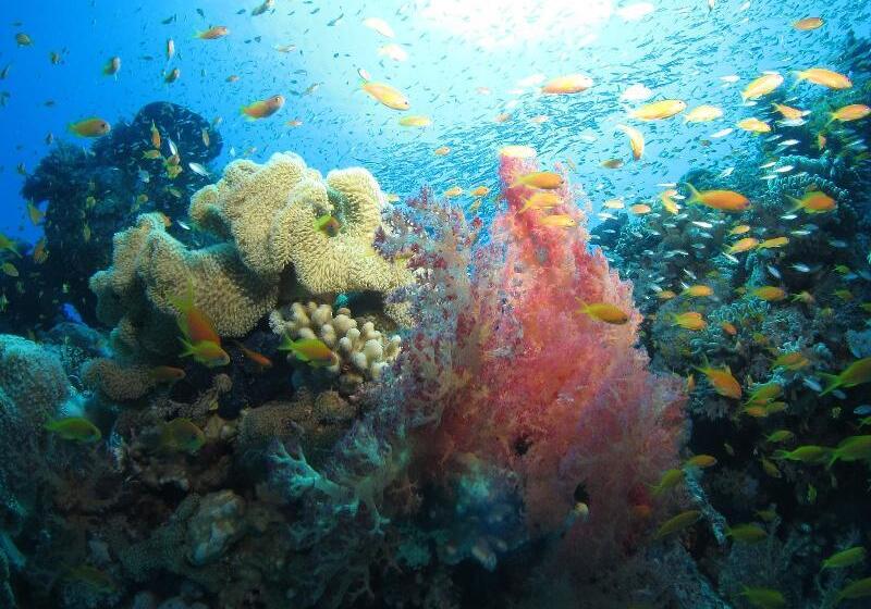 Fanadir Hotel El Gouna