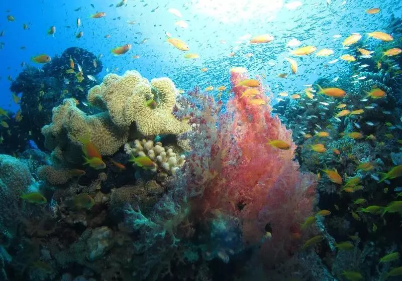 Fanadir Hotel El Gouna