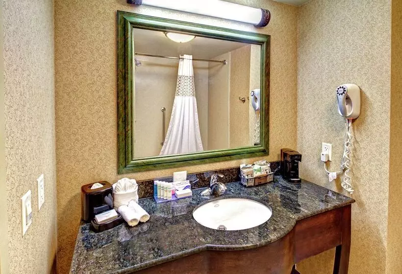 Отель Hampton Inn & Suites Lebanon