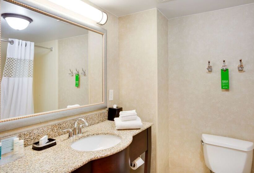 Отель Hampton Inn Harrisonburg South