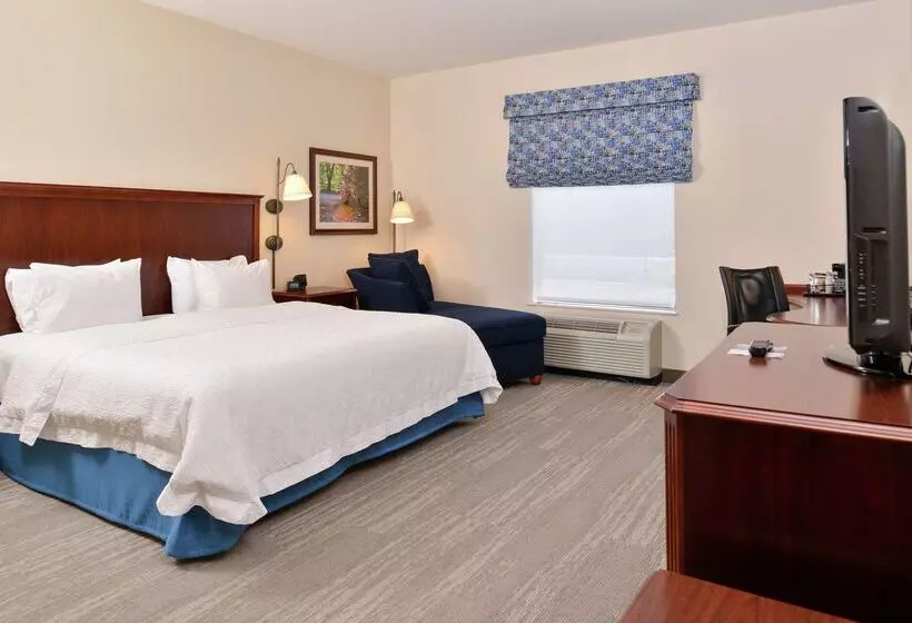 호텔 Hampton Inn Harrisonburg South