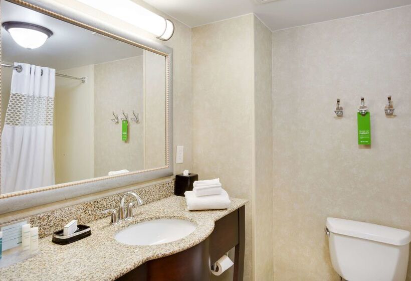 Отель Hampton Inn Harrisonburg South