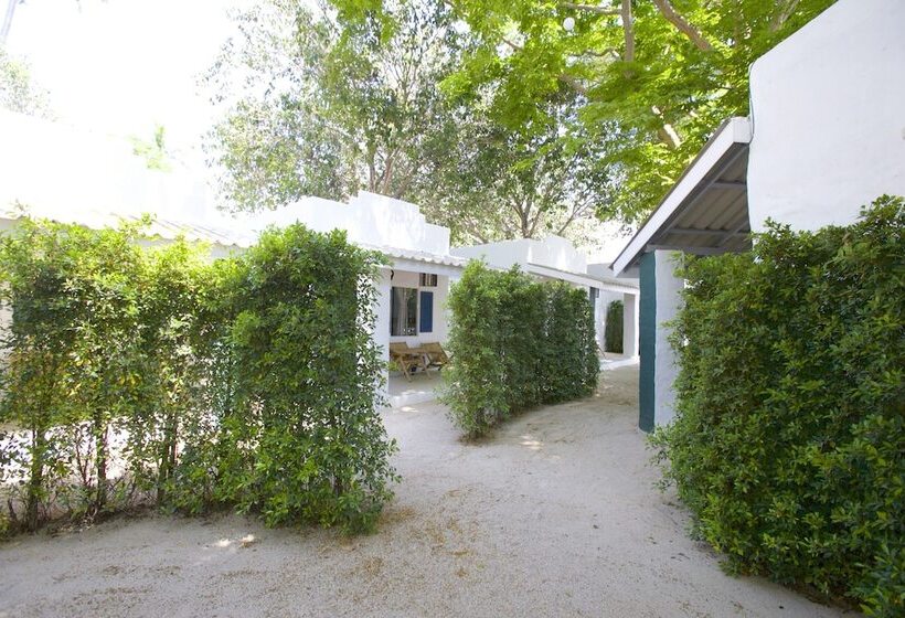 בית מלון כפרי Lime N Soda Beachfront Resort