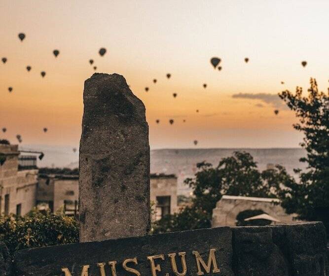 בית מלון כפרי Museum