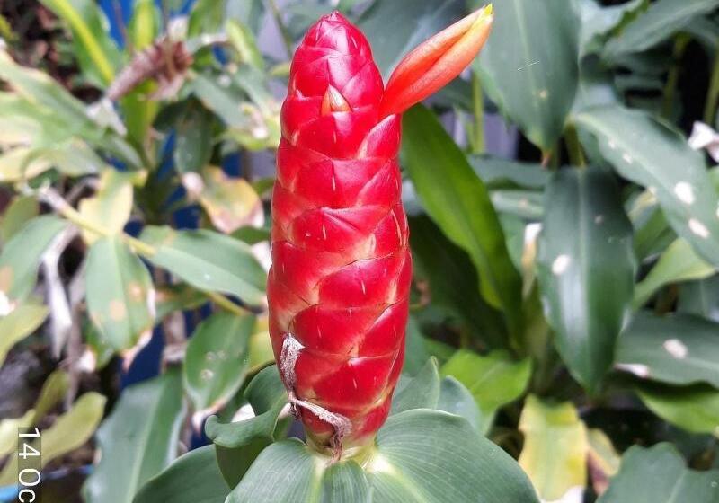 בית מלון כפרי Porterhouse Beach