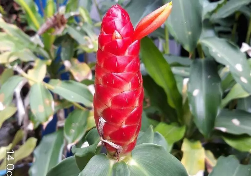 فندق Porterhouse Beach