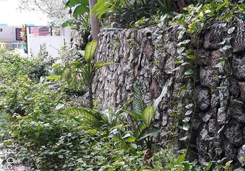 בית מלון כפרי Porterhouse Beach