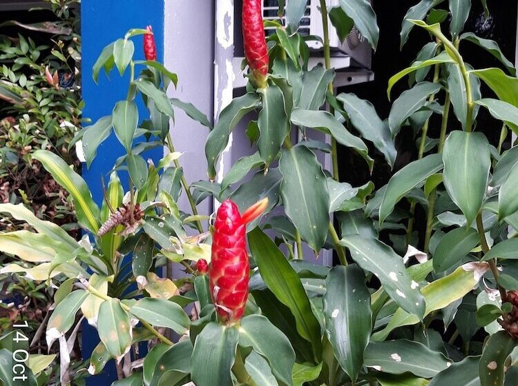 בית מלון כפרי Porterhouse Beach