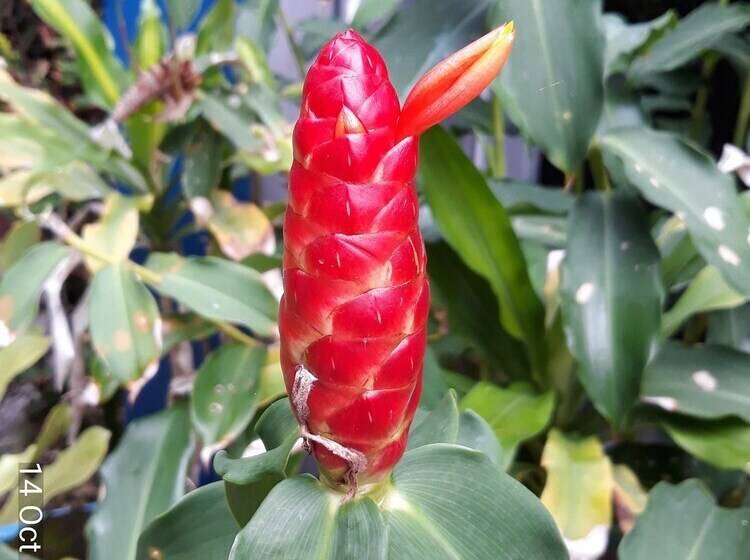 בית מלון כפרי Porterhouse Beach