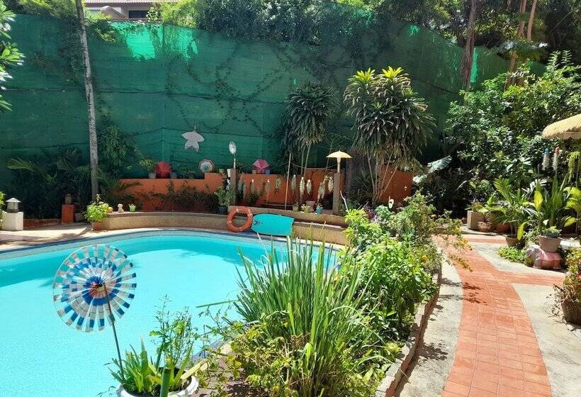 בית מלון כפרי Porterhouse Beach