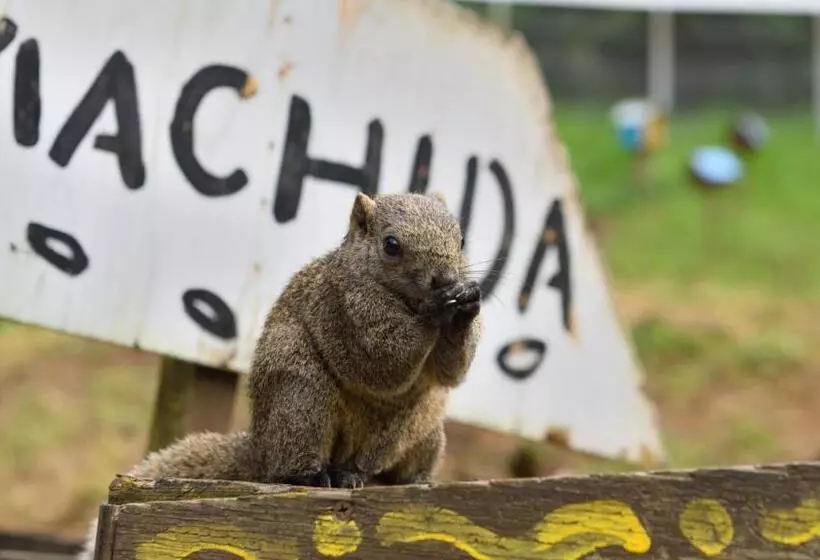 Hotel Toyoko Inn Tokyo Machida-eki Odakyu-sen Higashi-guchi