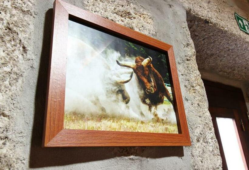 פנסיון Casa Viade