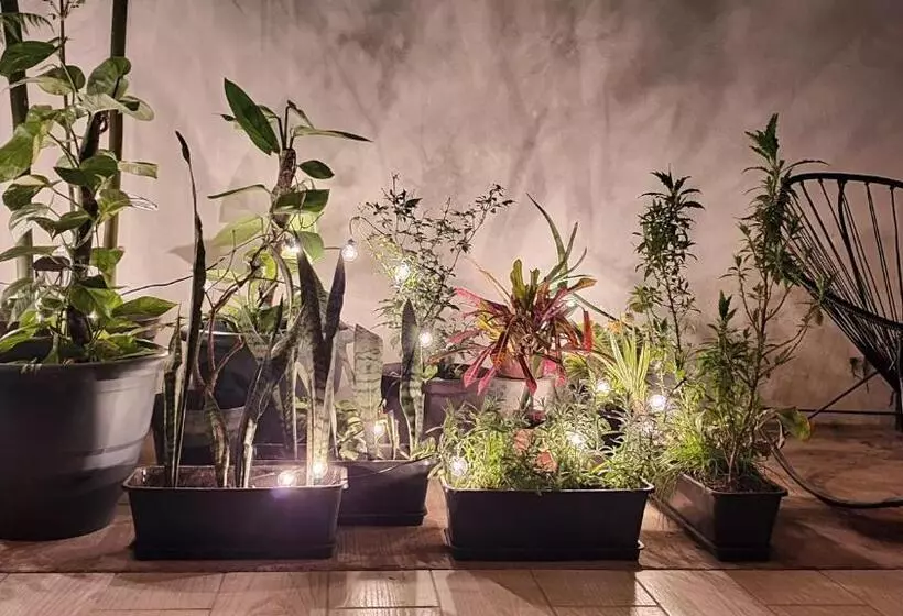 Retkeilymaja Base Camp México