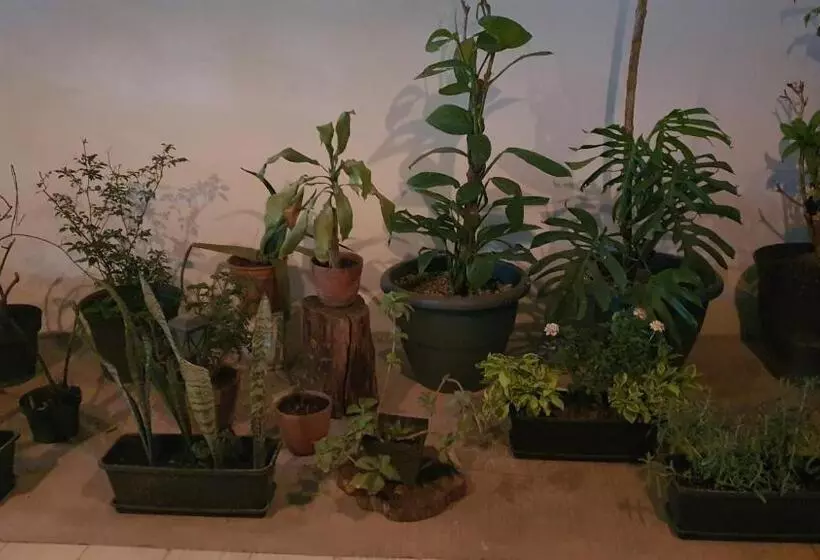 Retkeilymaja Base Camp México