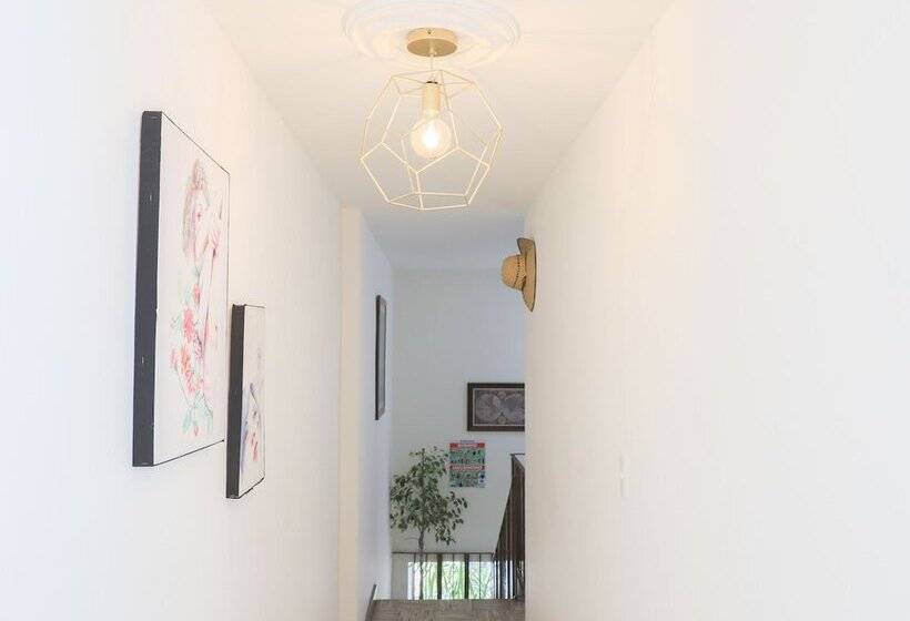 فندق صغير Base Camp México