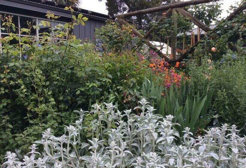 مبيت وإفطار Hollyoak