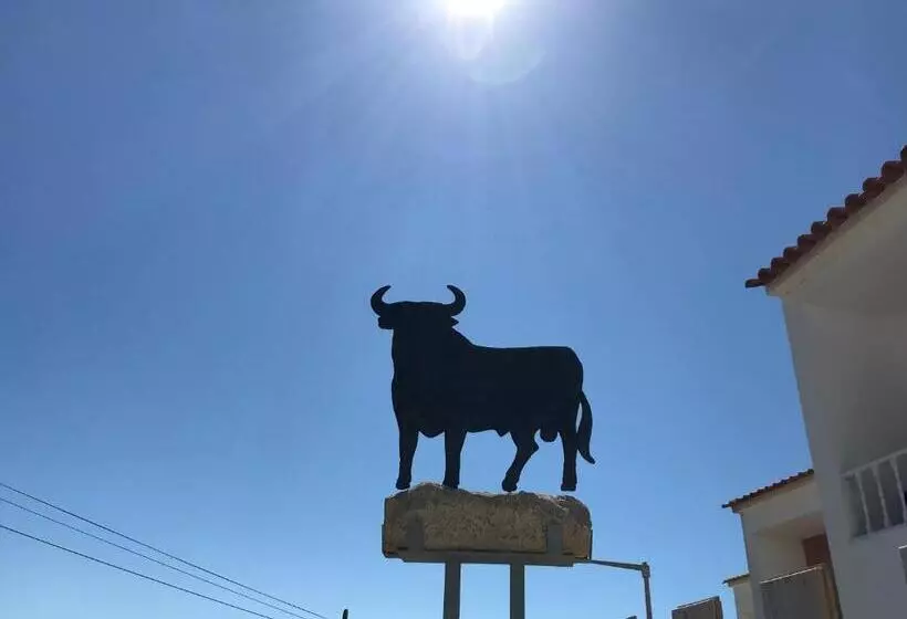 پانسیون O Tourinho