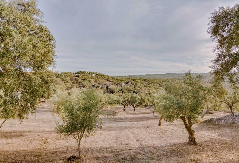 مبيت وإفطار Monte Da Lapa