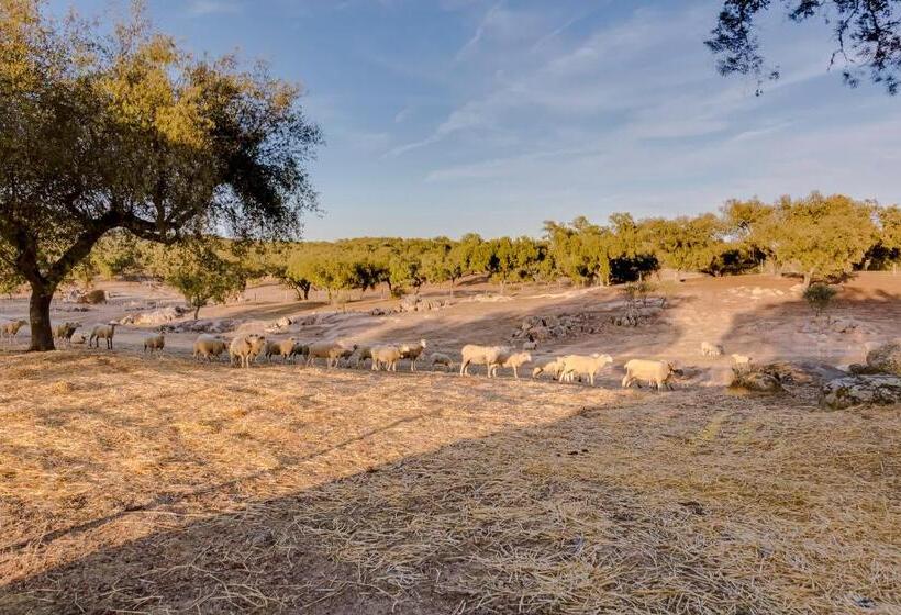 مبيت وإفطار Monte Da Lapa