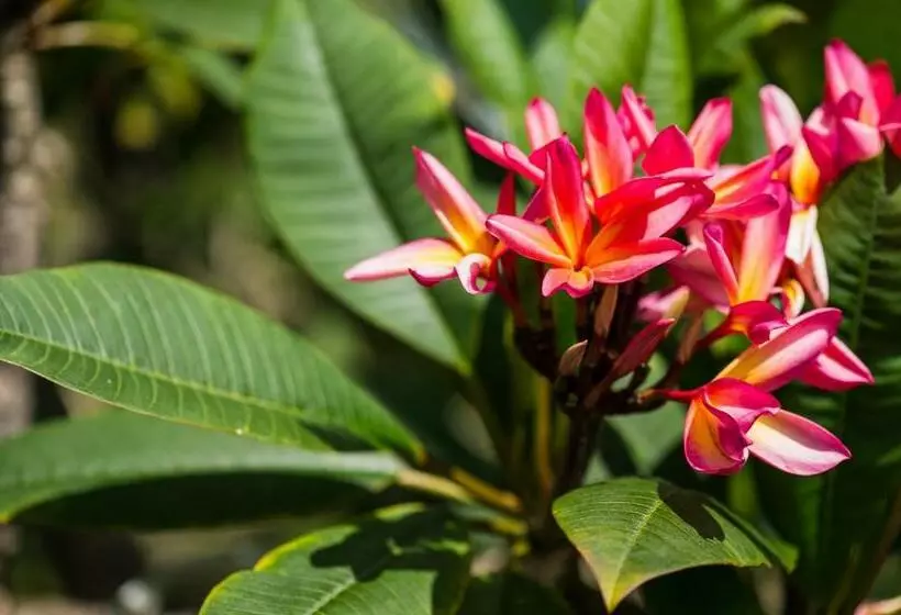 Majatalo Bears  Place Guest House