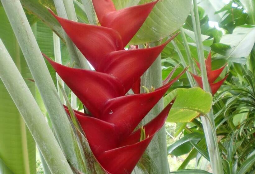 ペンション Bears Place Guest House