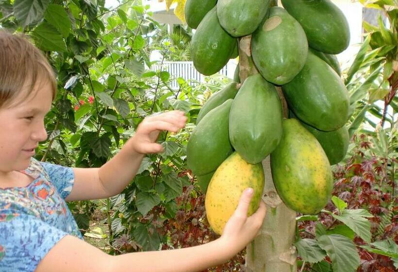 ペンション Bears Place Guest House