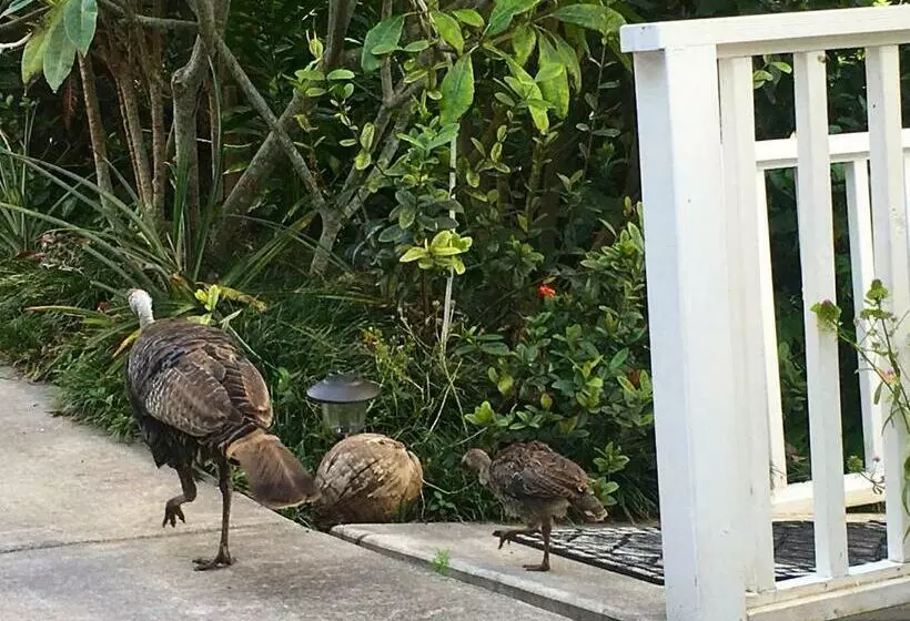 Majatalo Bears  Place Guest House