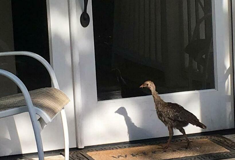 ペンション Bears Place Guest House